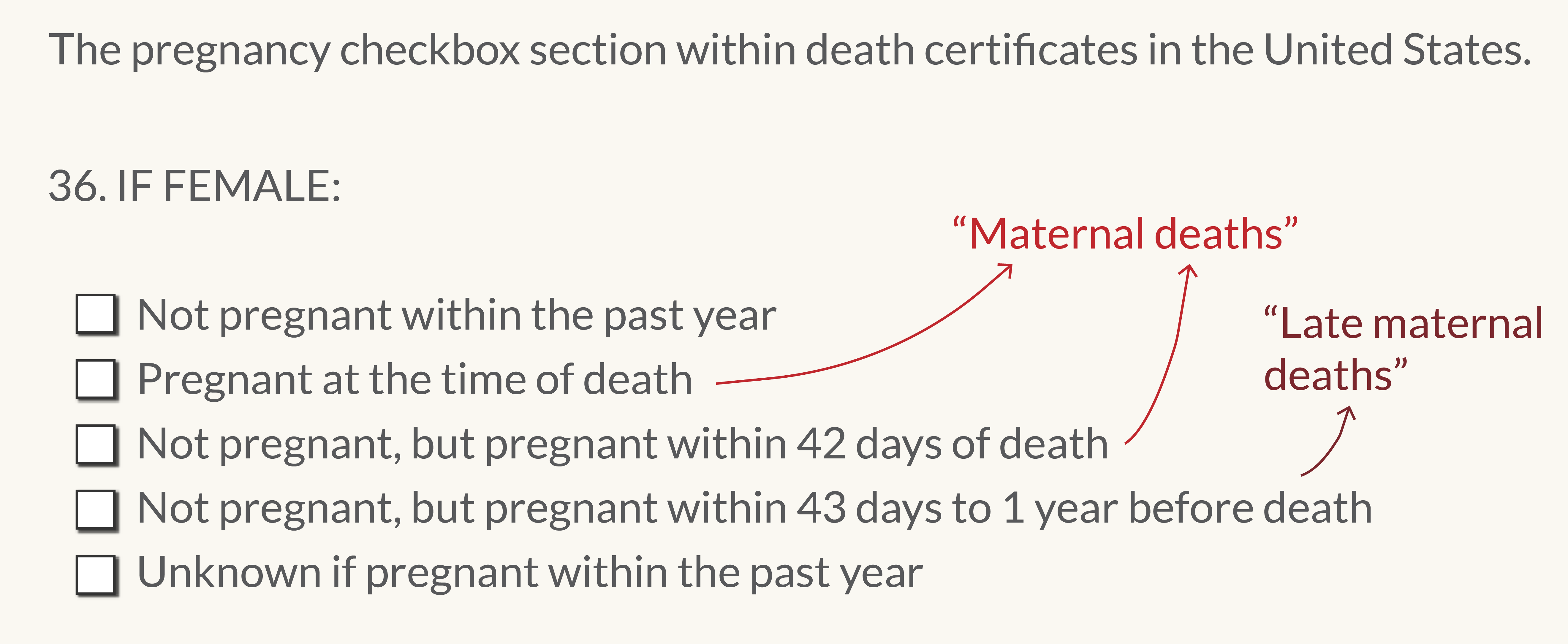 The image shows a section from a death certificate used in the United States for documenting pregnancy status in female decedents. It's a checklist format with the heading "36. IF FEMALE:". There are five options to be checked accordingly:
"Not pregnant within the past year"
"Pregnant at the time of death" (annotated as "Maternal deaths")
"Not pregnant, but pregnant within 42 days of death" (annotated as "Maternal deaths")
"Not pregnant, but pregnant within 43 days to 1 year before death" (annotated as "Late maternal deaths")
"Unknown if pregnant within the past year"
The annotations show that checking the second or third option is to indicate a maternal death, while checking the fourth option indicates a late maternal death. This helps to categorize the timing and relation of the death to pregnancy, which is critical for public health data and understanding maternal mortality.